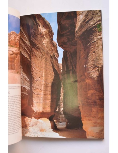 Arte e historia en Petra