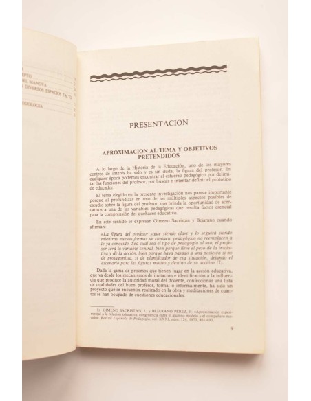 Un modelo de profesor ideal