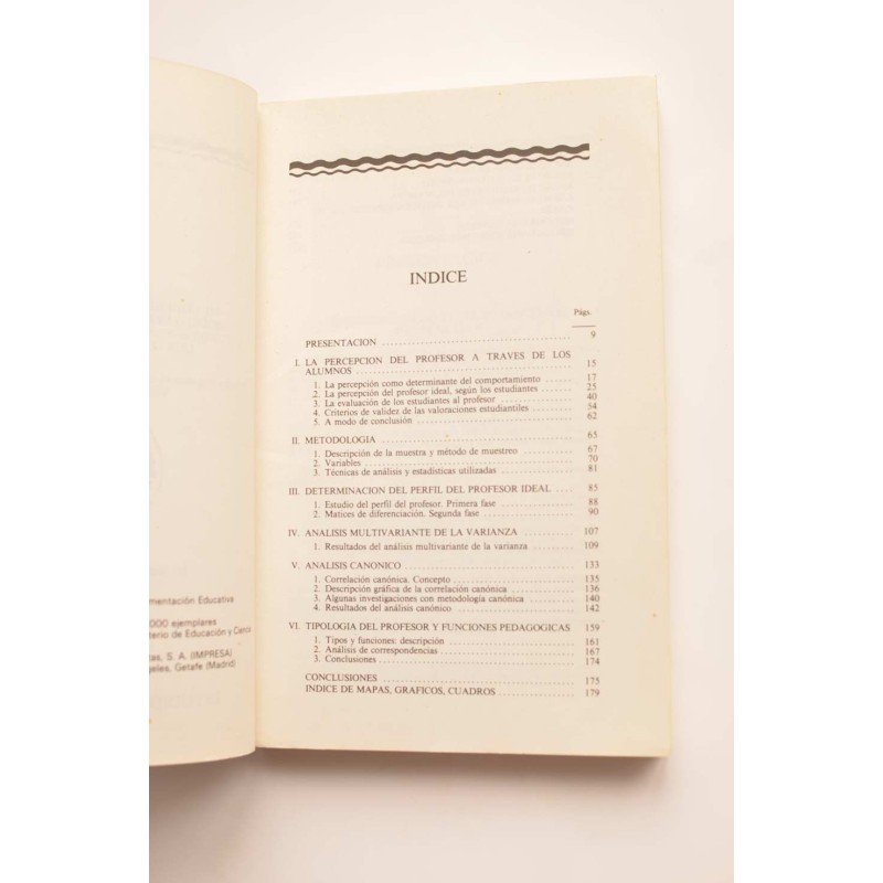 Un modelo de profesor ideal