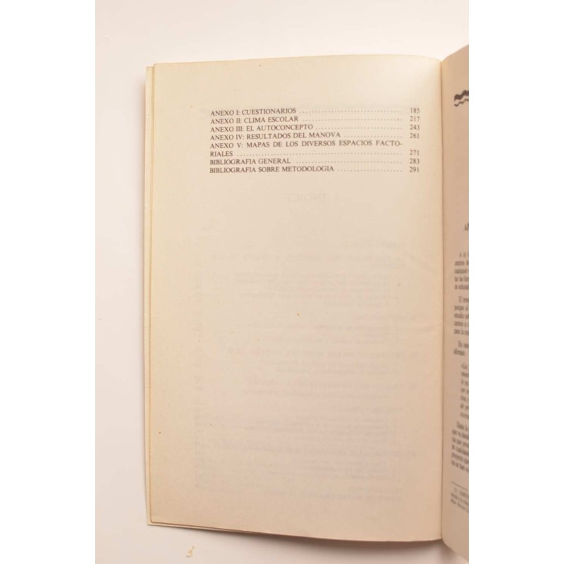 Un modelo de profesor ideal