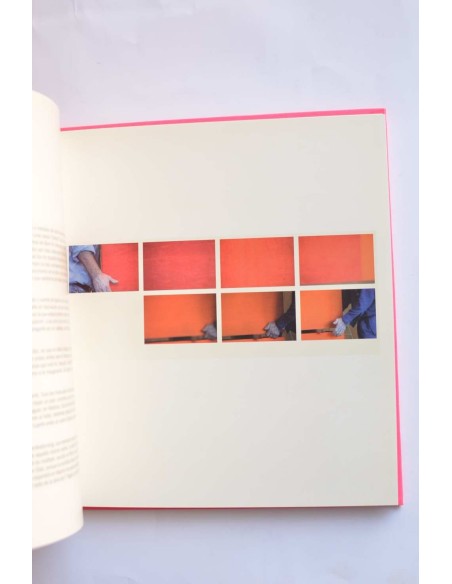 Fernando Pagola. Pintura