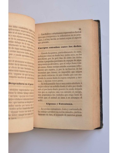Compendio de patología especial veterinaria
