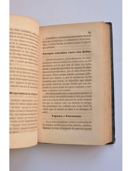 Compendio de patología especial veterinaria