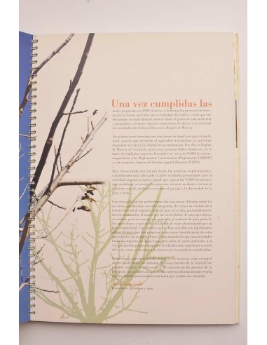 Forestación en tierras agrícolas de la Región...
