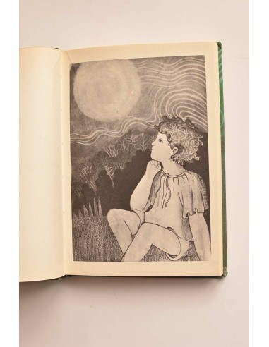 Ángel en la luna