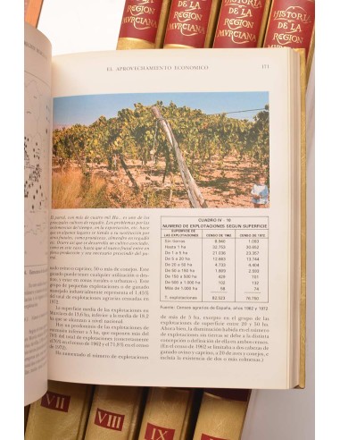 Historia de la Región Murciana