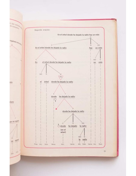 Norma 7. Lenguaje. Libro de consulta