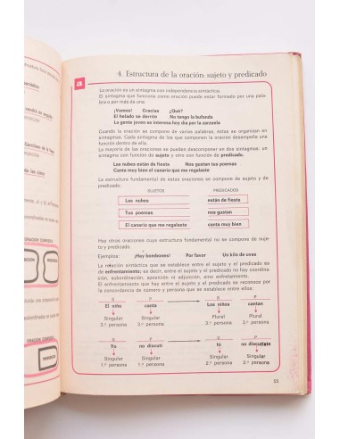 Norma 7. Lenguaje. Libro de consulta
