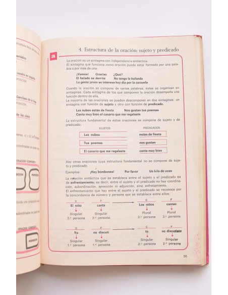 Norma 7. Lenguaje. Libro de consulta