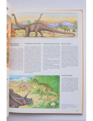 Dinosaurios y animales prehistóricos