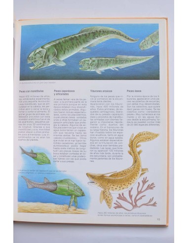 Dinosaurios y animales prehistóricos