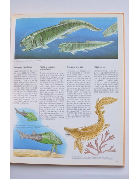 Dinosaurios y animales prehistóricos