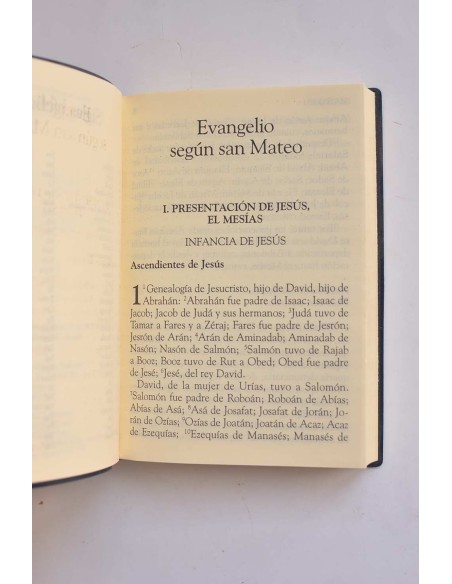 Nuevo Testamento. Letra grande