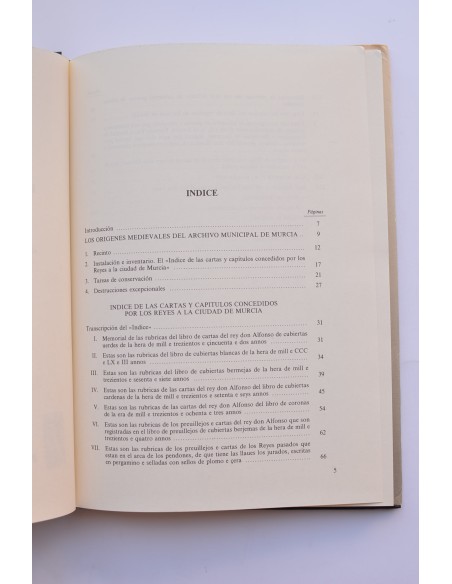Los orígenes medievales del archivo municipal de Murcia. El índice documental del 1266 - 1380 / 1428