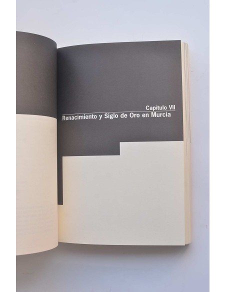 Historia de la literatura en la Región de Murcia