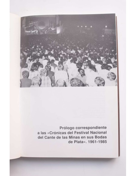 Crónicas del Festival Nacional del Cante de las Minas en sus bodas de plata : La Unión 1961-1985