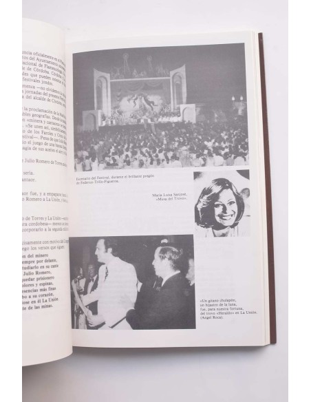 Crónicas del Festival Nacional del Cante de las Minas en sus bodas de plata : La Unión 1961-1985