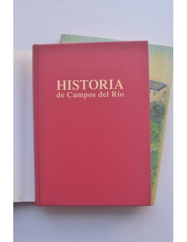 Historia de Campos del Río (Murcia)