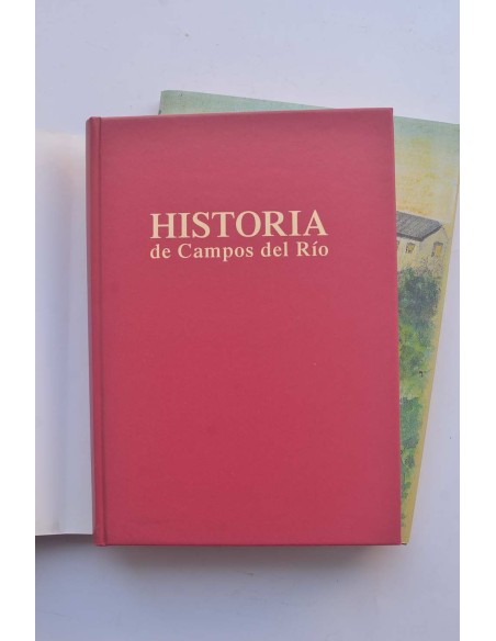 Historia de Campos del Río (Murcia)