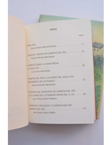 Historia de Campos del Río (Murcia)
