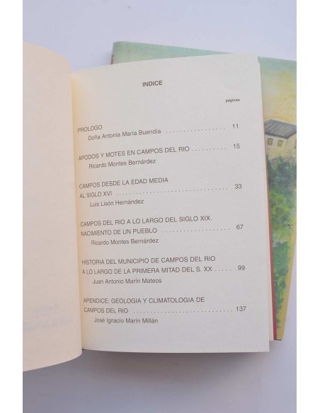 Historia de Campos del Río (Murcia)