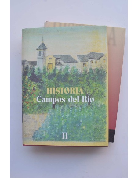 Historia de Campos del Río (Murcia)