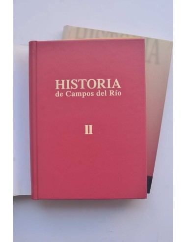 Historia de Campos del Río (Murcia)