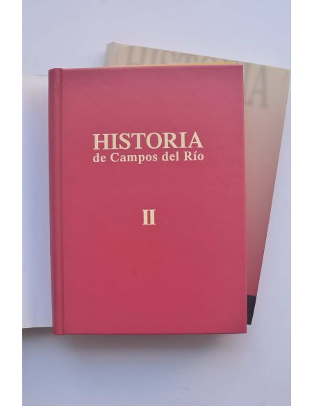 Historia de Campos del Río (Murcia)