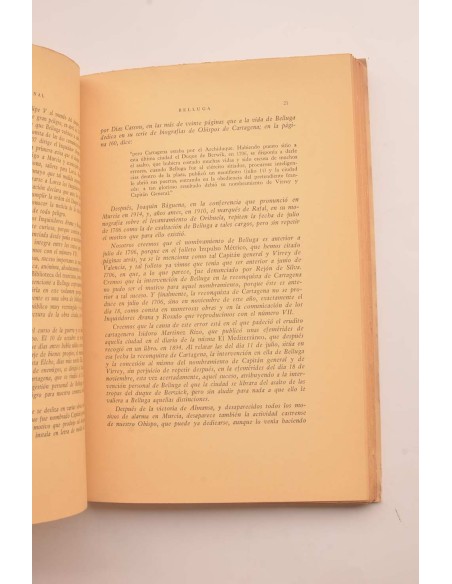 El Cardenal Belluga. Pastorales y documentos de su época