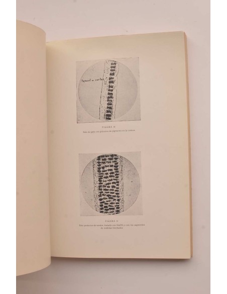 Pimientos y pimentón. Estudio químico - físico