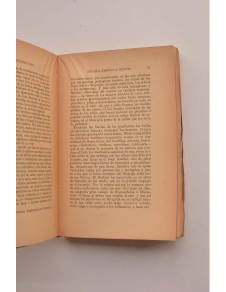 España nervio a nervio