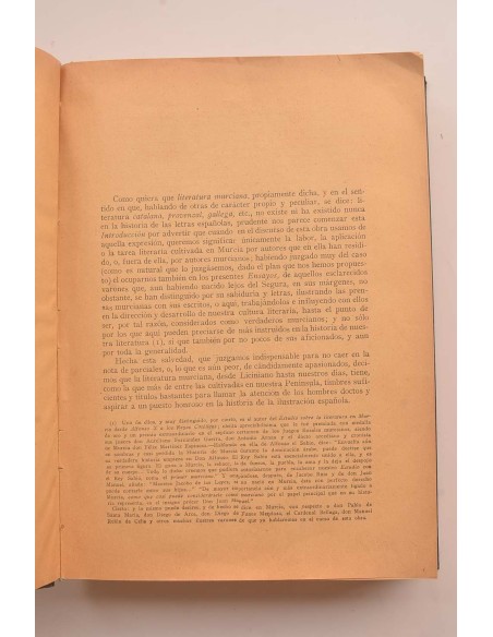 Biblioteca del murciano o Ensayo de un diccionario y bibliográfico en la literatura murciana