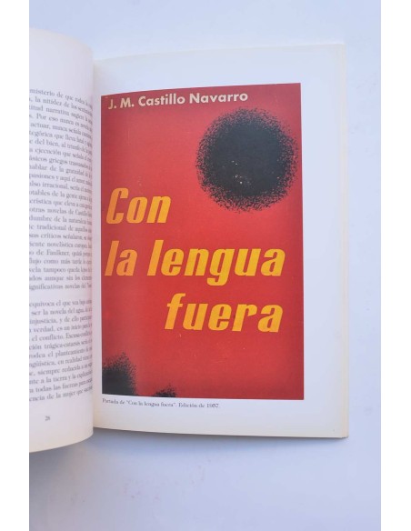 Acercamiento e interpretación de Castillo - Navarro