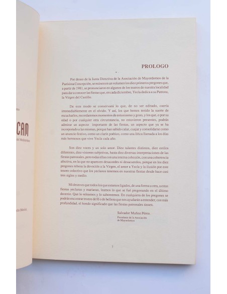 Pregones Fiestas de La Virgen, 1981 - 1990
