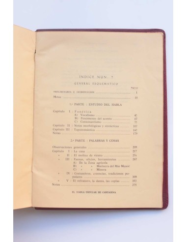 El habla de Cartagena. Palabras y cosas