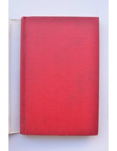 Delirio y destino. Los veinte años de una española 2