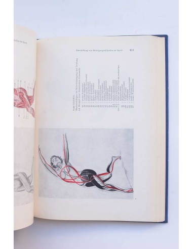 Beschreibende und funktionelle anatomia des...