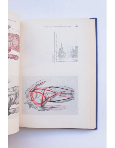Beschreibende und funktionelle anatomia des...