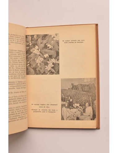 Geografía agrícola de España