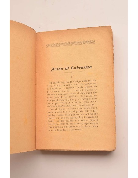 Gazapos literarios