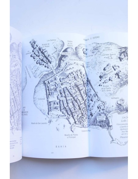 Discurso de la ciudad de Cartagena