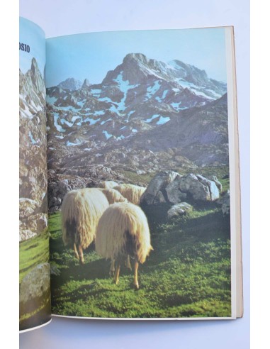 El Oriente de Asturias. Marzo 1973. Número extra