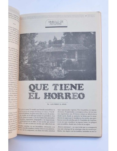 El Oriente de Asturias. Marzo 1973. Número extra