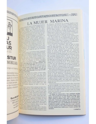 El Oriente de Asturias. Julio 1991. Número extra