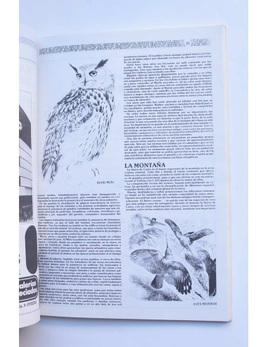 El Oriente de Asturias. Junio 1982. Número extra