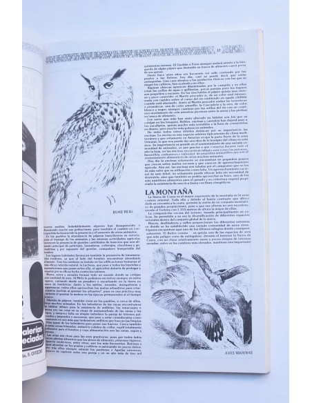 El Oriente de Asturias. Junio 1982. Número extra