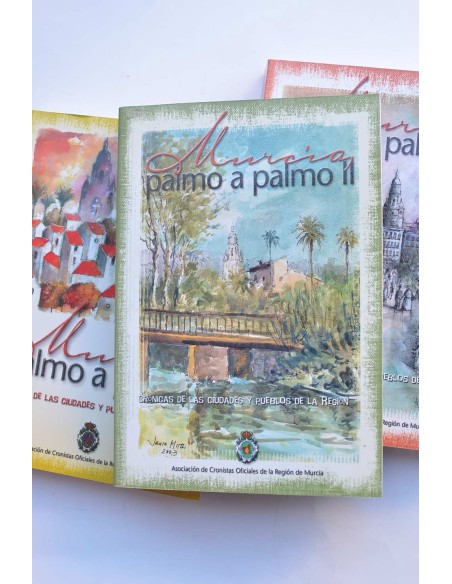 Murcia, palmo a palmo. Crónica de las ciudades y pueblos de la región
