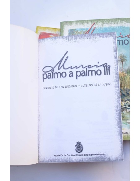 Murcia, palmo a palmo. Crónica de las ciudades y pueblos de la región