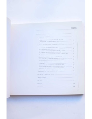 Los orígenes del siglo minero en Murcia