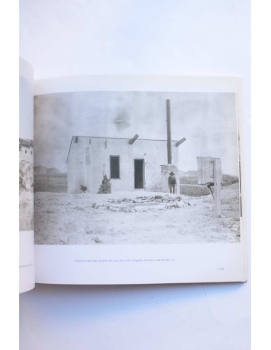 Los orígenes del siglo minero en Murcia